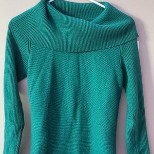 Green Alfani Sweater